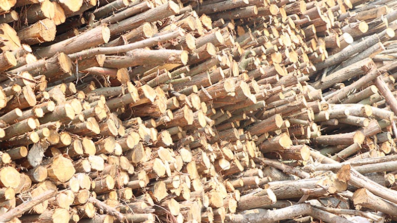 osb板材組成部分到底需要哪些