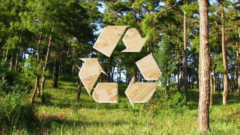 lsb板材更加注重環保