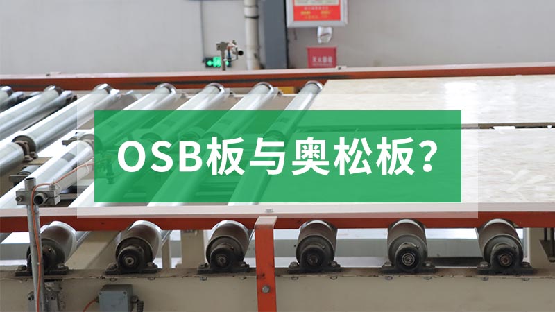 片狀實木結構板OSB板材與澳鬆板的不同之處