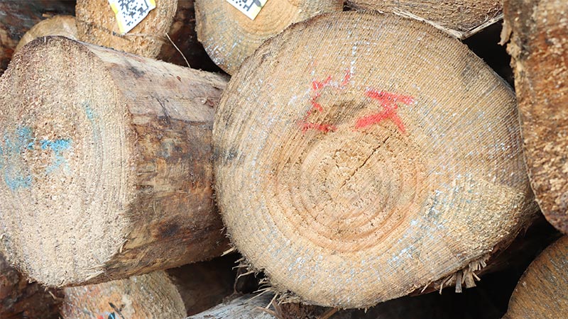 片狀實木結構板廠家,osb廠家,lsb廠家,板材廠家,osb板廠家,lsb板廠家,osb,lsb